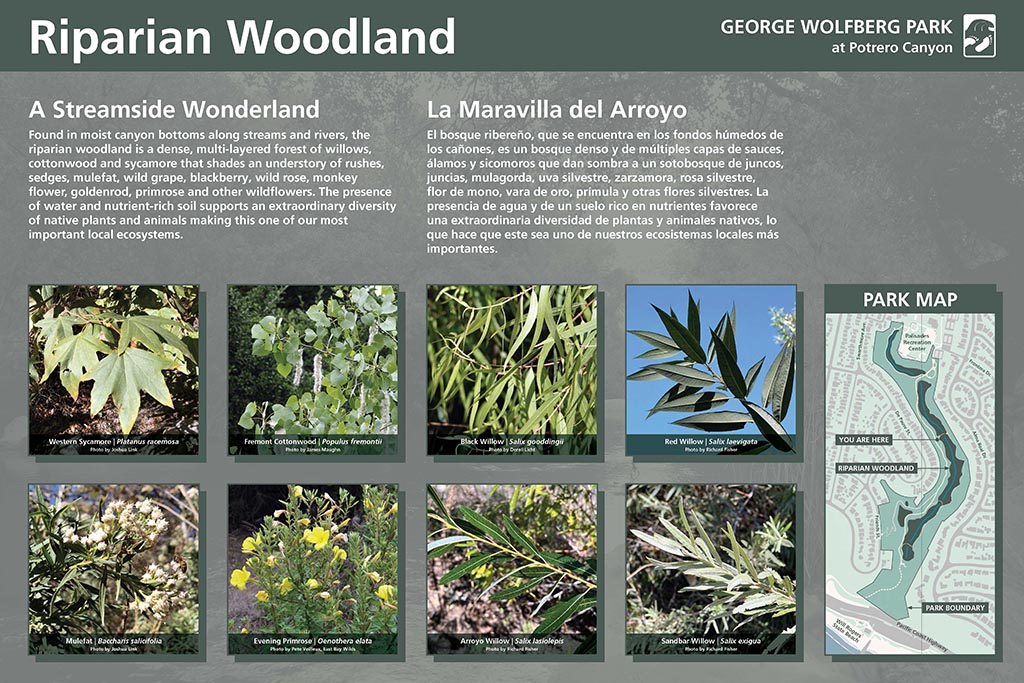 5-Potrero_Canyon_Riparian_Woodland_Exhibit