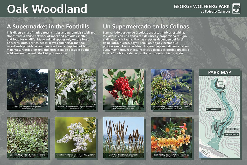 7-Potrero_Canyon_Oak_Woodland_Exhibit